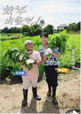 极限挑战海报