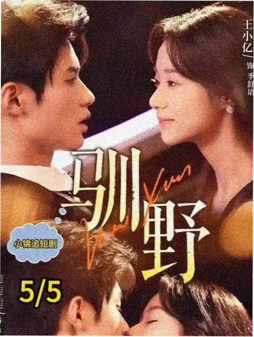 Netflix新剧推荐